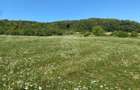Teren 11.000 mp-ideal cabana/ferma-Unirea-Valea Slatinitei - 3