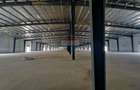 COMPLEX INDUSTRIAL & COMERCIAL PREMIUM | ILFOV