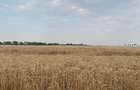 Stefanesti de Jos DJ200 Vanzare Teren  intravilan  3 HA - 3