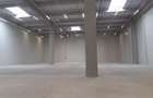 Depozite construite conform cerintelor / Warehouses build to suit - 2