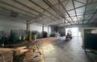 Hala de inchiriat zona industriala Sud - 6