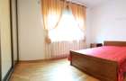 Piata Alba Iulia - Unirii, adiacent, apartament in vila - 7