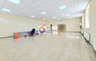 Spatiu birouri de închiriat Brasov - 100 mp # spatii-comerciale-brasov.ro - 1
