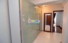 Inchiriere Ap. 2 camere Parcul Carol Str. Hategana terasa proprie - 16
