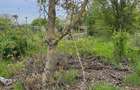 TEREN INTRAVILAN-470 MP-SCOLII -AGNES - 4