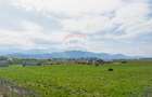 Teren intravilan 13.300 mp – Brașov | 0% COMISION - 3