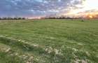 Bocsa Romana, 2 terenuri intravilan, 10.000 Mp.(59.900 Euro) si arabil, 80.000 M - 7