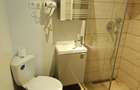 Apartament 4 camere renovat, 3 unitati regim hotelier zona Centrul Istoric - 10