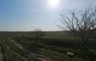 Teren intravilan -Balaceanca - 5