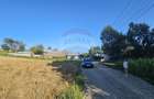 Teren intravilan, 7500 mp in Moara Carp / Strada Eternitatii-Suceava - 4