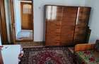 Proprietate rară – 2 case + livadă, vie și teren generos, la 20 km de Târgu Jiu - 14