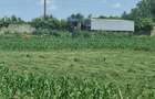 Extravilan Compact 2.75 Ha Saucesti AICBAC - 10