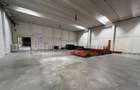 Hala productie/ depozitare/ showroom - suprafete modulare 600/ 900/ 2.300 mp. - 3