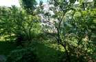 Apartament 3 camere de vânzare, mobilat, et 1,  Constantin Brâncoveanu - 5