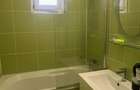 Apartament luminos, etaj 8 | Drumul Taberei – Râul Doamnei - 11
