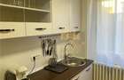 TAKE IONESCU, Apartament 2 camere, parter, clima - 8