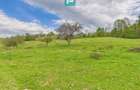 Casă cu teren de 17.681 mp, în loc. Hălmăgel, Arad - 16