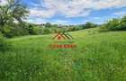 Teren intravilan in Campina--4355mp--28.500 euro - 5