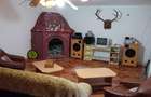 Casa de vacanta Crivaia, langa Valiug –locatie idilica, ideala pentru timp liber - 5