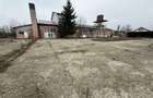 Hale industriale de inchiriat cu platforma betonata de 10.424mp - Șerbanest - 1
