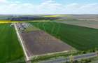 COM 0% Teren industrial pretabil hale, servicii | DN69 Sanandrei - 3