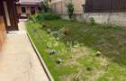 Casă înșiruită renovată | 2 unități locative | UMF/Marinescu - 7