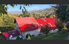 House for sale 30km from Sinaia - 6