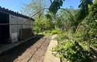 Casa P+1 - 6 camere - Palazu Mare - 290.000 euro negociabil (cod E8+E10) - 13
