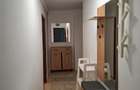 Apartament 2 camere zona Paltinis - 7