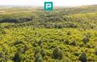TEREN AGRICOL EXTRAVILAN  22.900 MP LIPOVA - 14