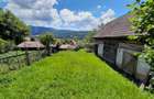 Vanzare casa cu anexe si 5500 mp teren, Valea Ariesului, Salciua - 4