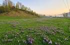 Teren de vanzare in Bucovina - 6