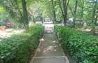 3 camere | Decomandat | TOTUL NOU - 18