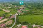 Proprietate de poveste pe Valea Mureșului, Lupești - 8