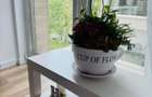 Apartament 2 camere Poitehnica Park - 6
