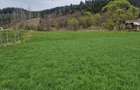 Vindem teren in Vatra Moldovitei - Bucovina - 6