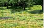 Teren intravilan, 1.518 mp în Feleacu – Confort, natură și utilități complete - 6