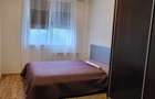 Apartament 2 camere Dristor, 10 minute de metrou, mobilat si utilat modern - 2