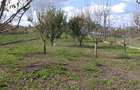 Inchiriez teren in Sopor - 6