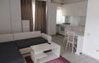 Inchiriere Apartament 2 camere decomandat Herastrau - 1