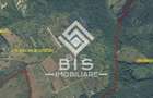Teren Extravilan - 10'000 Mp - Valea Budacului (Bistrita) - 4