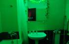 APARTAMENT 2 CAM, BLOC NOU, TATARASI, GREEN PARK - 10