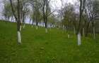 Vand teren intravilan sat Nicula, jud Cluj - 2