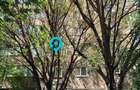 Apartament 3 camere  | Bloc 1992 | Fix langa Parc - 14