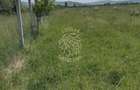 Teren 23700 mp (2,37 ha)-ideal investitie,cabana-Sesul Jelnei - 3