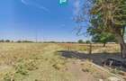 Teren intravilan 146.866 mp | Jimbolia - 13