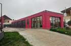 Inchiriere - Spatiu multifunctional auto / logistic - 3