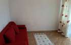 Apartament cu 2 camere, zona Canta - 5