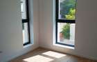 Vila Tunari str. Paris, 5 camere, curte 300  mp, 400 mp construiti - 20