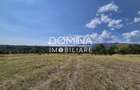 Vânzare teren 13.000 mp - Runcu-Suseni - oportunitate turistică - 7